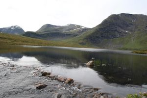 Måsvatnet