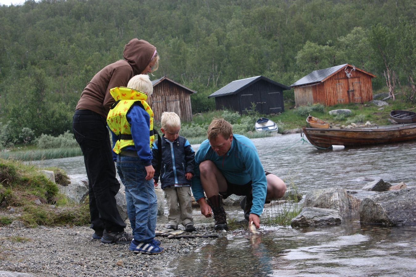 Fiskeglede.