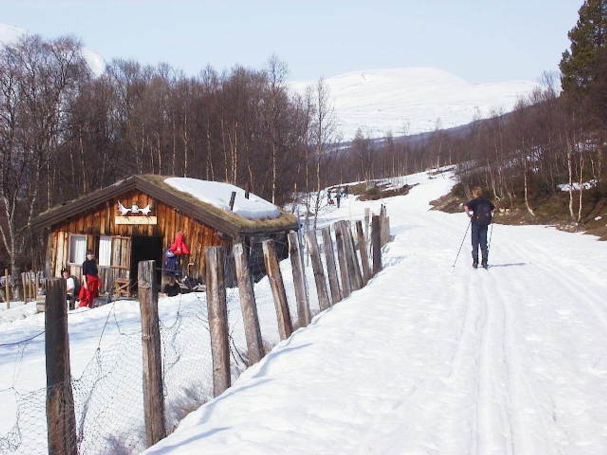 På ski mot Førholen, forbi Gamlegarden