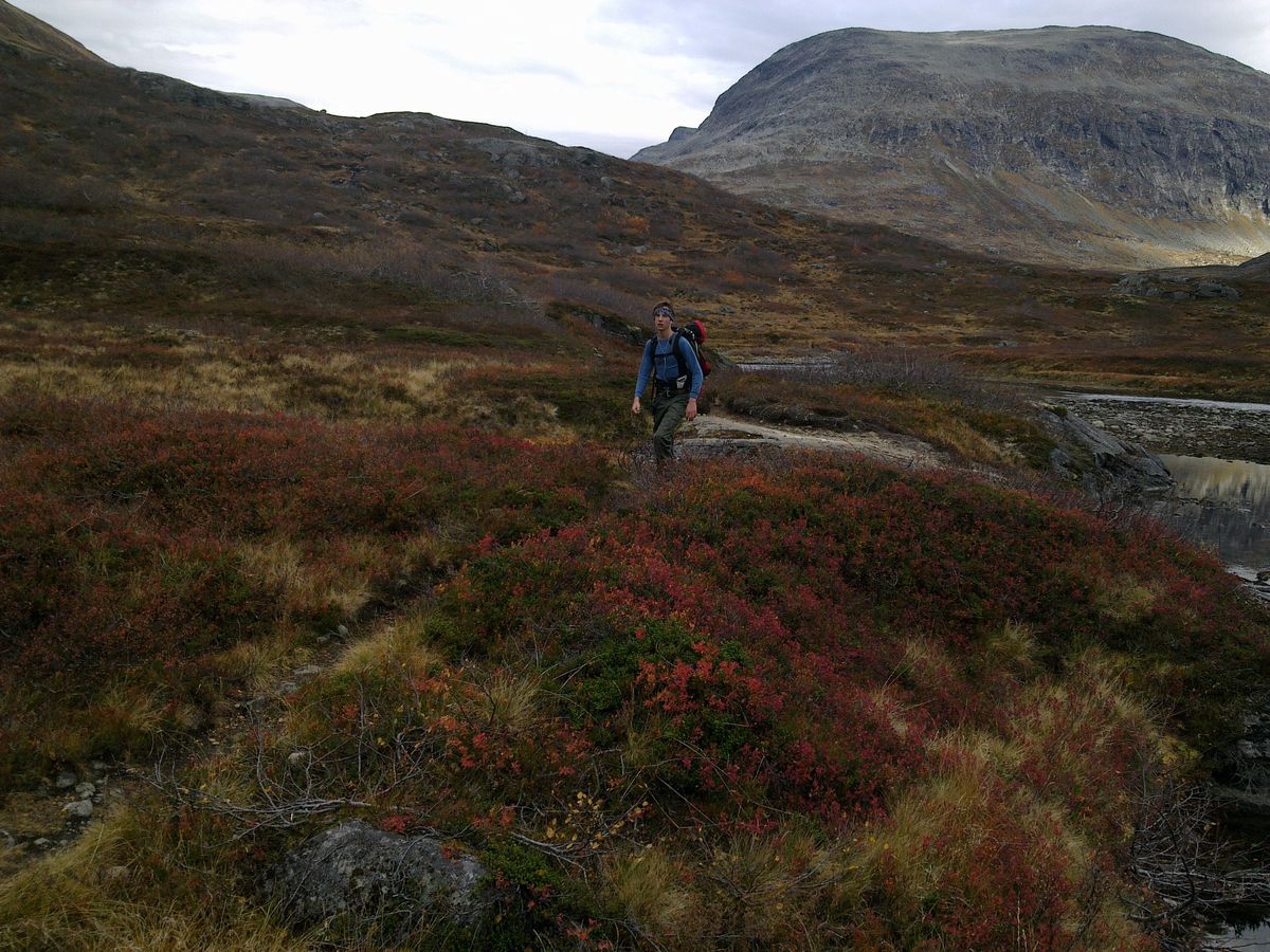 Høststemning i Litlelangdalen