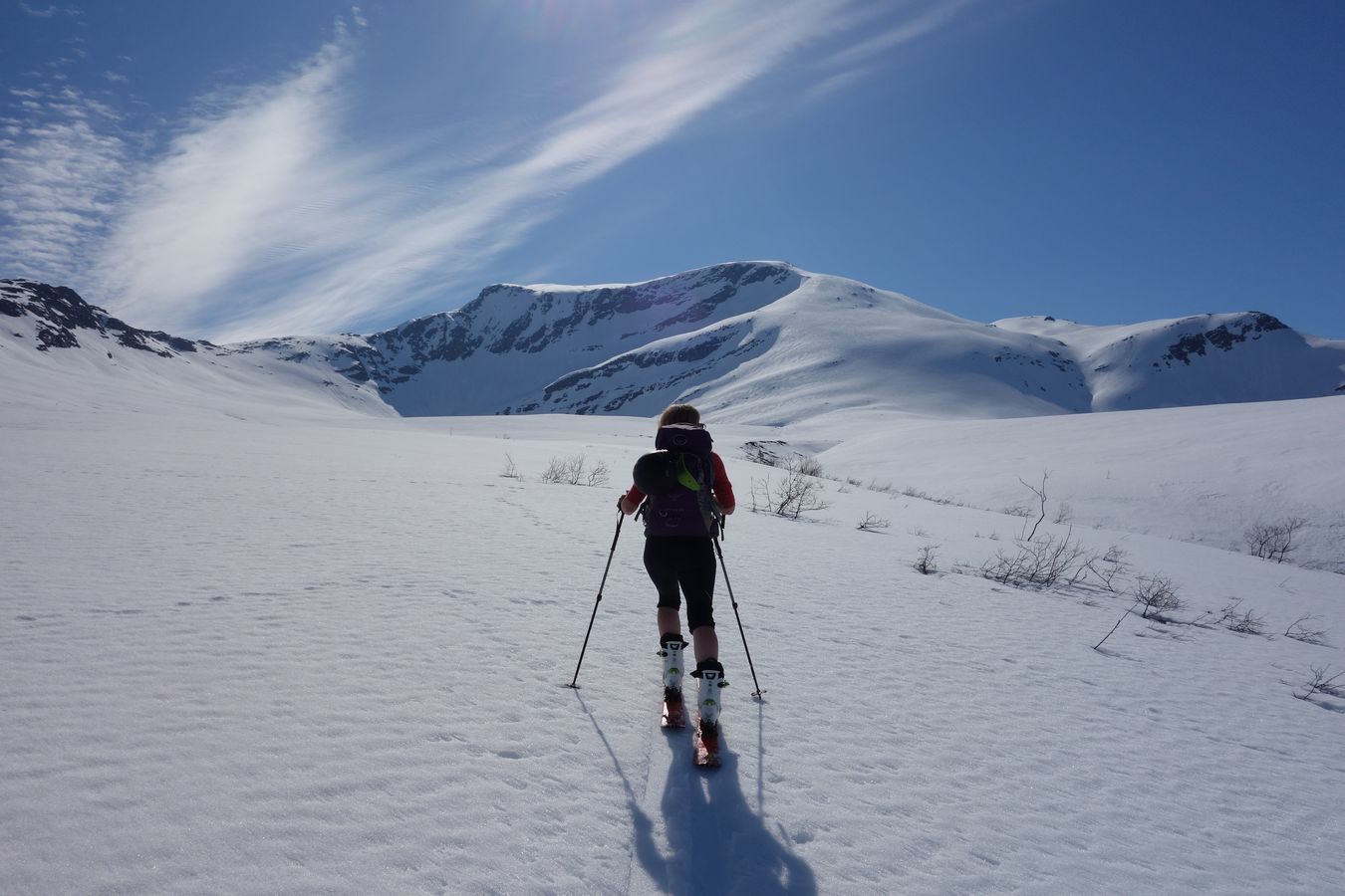 Fin skitur innover Unhjemsbotn. Blåfjellet midt i bildet