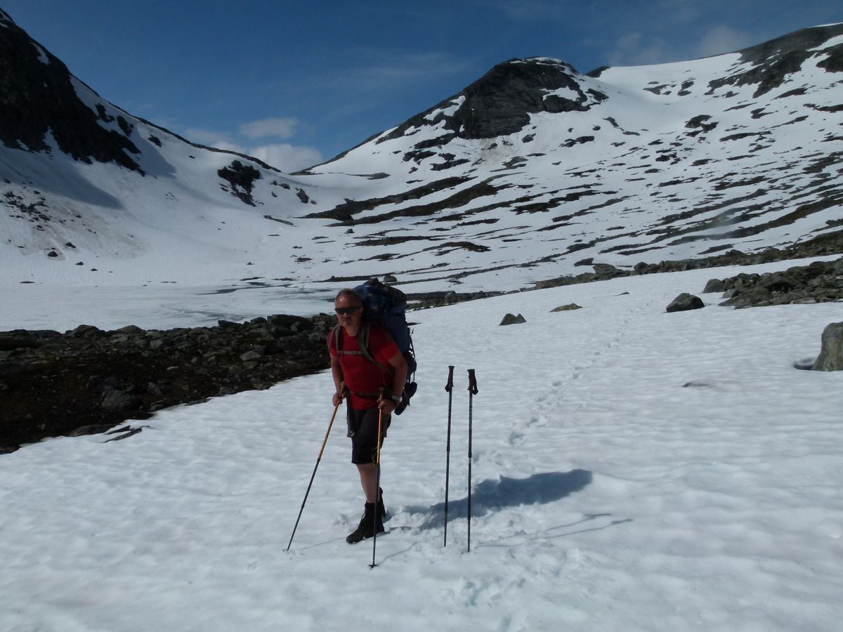 Motiv fra slutten av juli måned innerst i Litlehånådalen med Hånådalsreset i bakgrunnen.