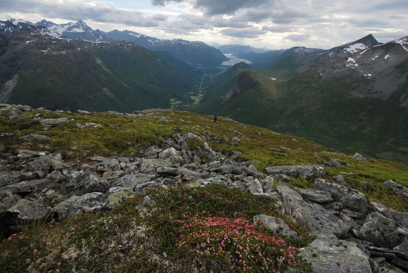 Utsikt mot Isfjorden.