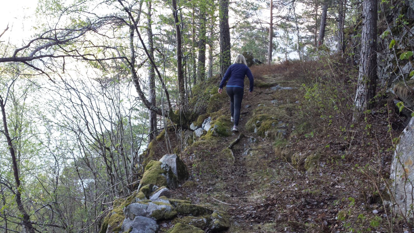 Bjørgastien mot Torvika