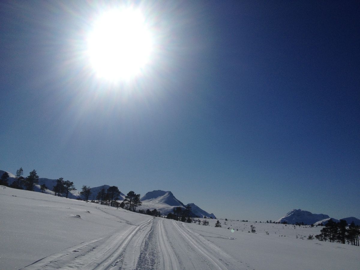 Lågfjellet mot Daugstadsetra