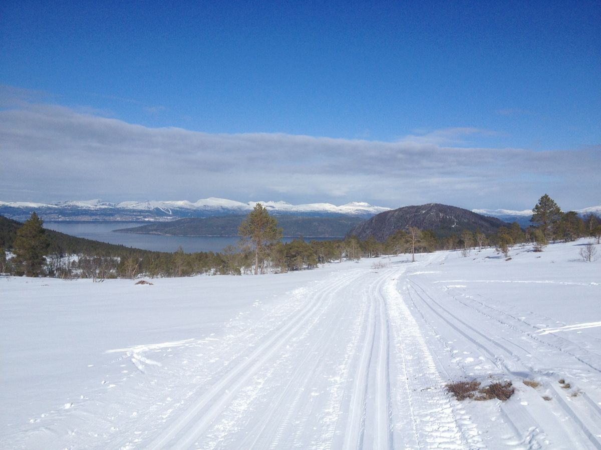 Lågfjellet 